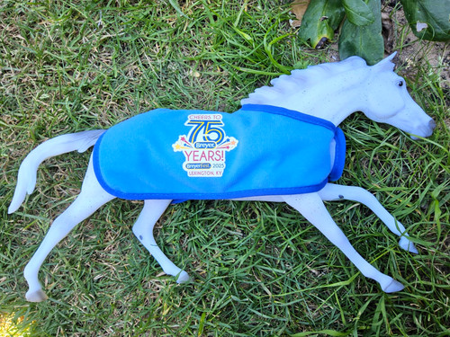 Breyer tight lines phish bf - lines,