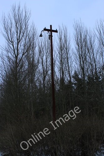 Photo 6x4 lamp - photo,