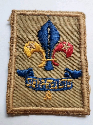 Vintage old boy scouts - boy,