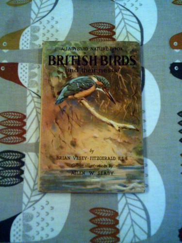 Ladybird british birds and - british,