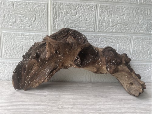 Bogwood driftwood fish - bogwood, tank