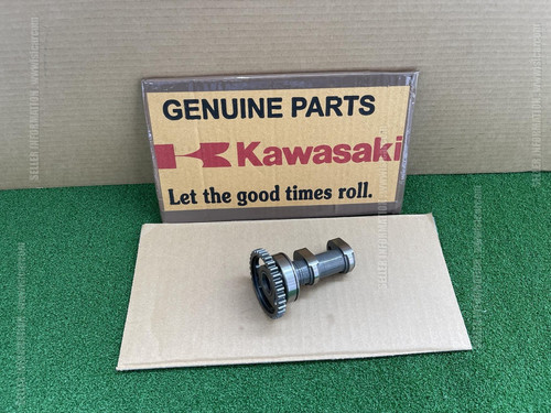 Kawasaki kx250 2025 2026 - kawasaki,
