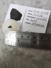 Lunar Breccia (Polymict) NWA10258 Meteorite Fragment Moon Space Rock Dust LUN05