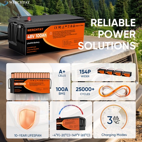 48v lifepo4 100ah battery - 100ah,