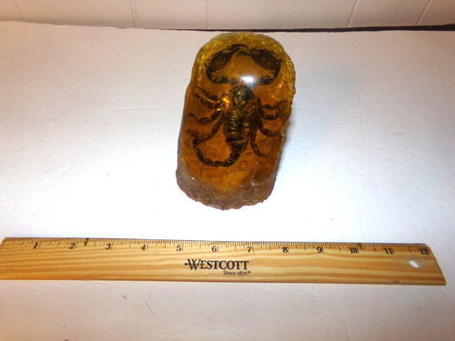 Vintage scorpion paperweight - scorpion,