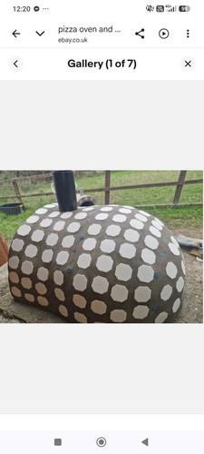 Pizza oven - pizza,