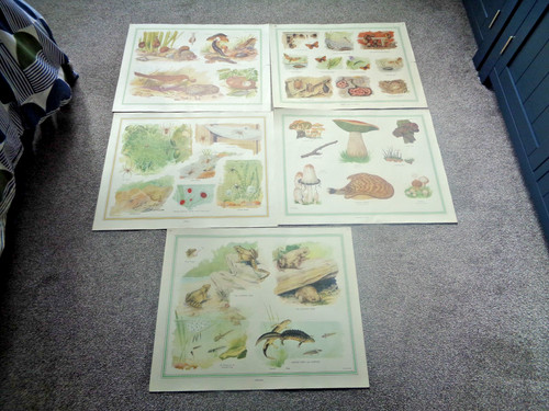 School posters from the - from,