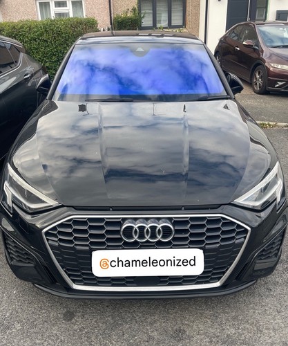 Chameleon tint royal blue - royal, no