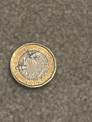 2025 coin rare - coin, bee