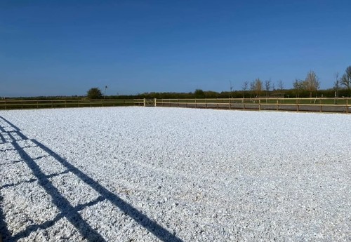 Horse arena and lounge pen - arena,