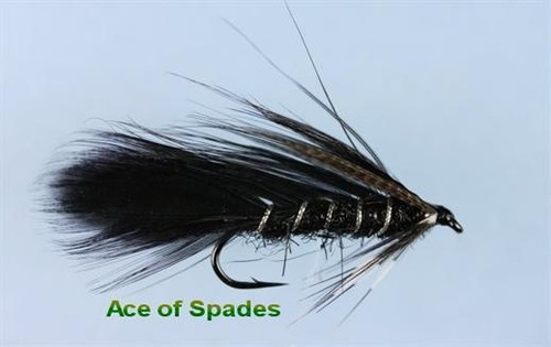 Ace spades fly - of,