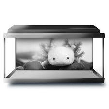 Fish Tank Background 90x45cm