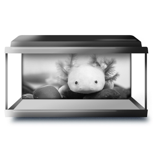 Fish tank background - tank, 90x45cm