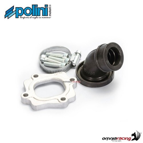 Polini horizontal intake