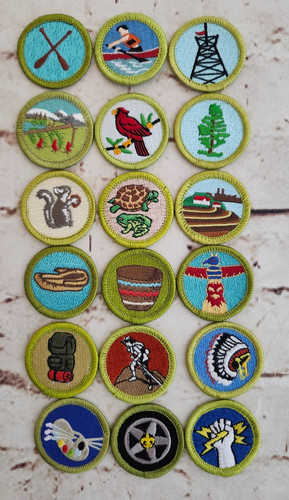 Bsa boy scout merit - bsa,
