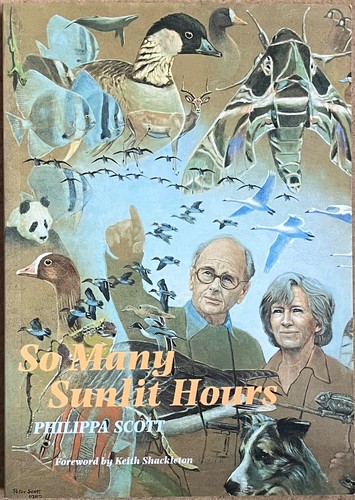 Many sunlit hours - many, by