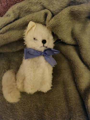 Vintage wendy boston white cat - wendy,