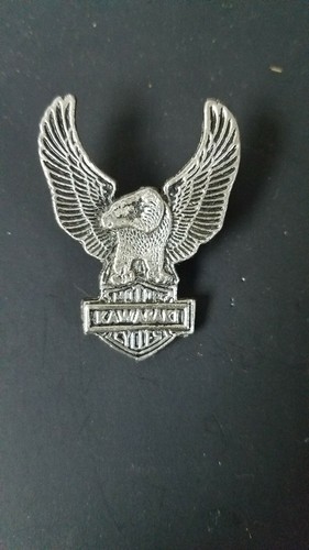 Kawasaki motorcycle pin - kawasaki,