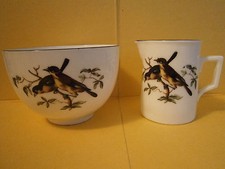 Crested China Type Exotic