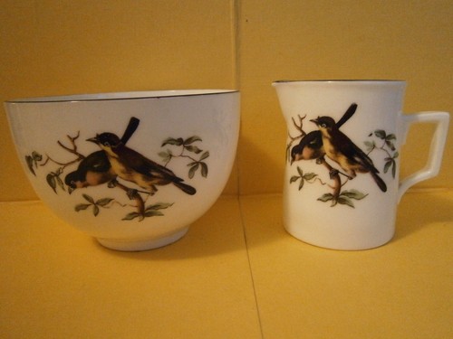 Crested china type exotic - crested,