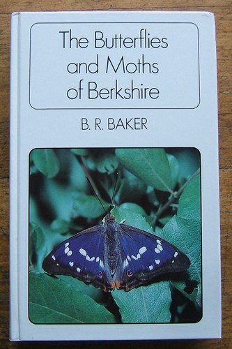 The butterflies and moths - the,