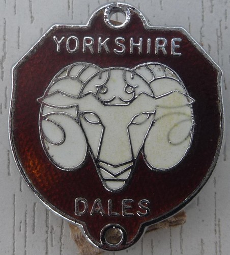 Lapel badge yorkshire dales - badge,