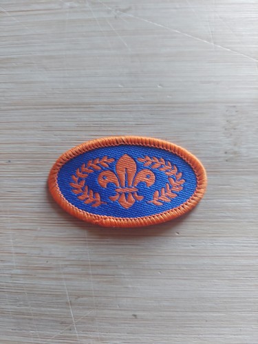 Scouting discontinued chief - scouting,
