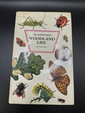 Woodland Life In Colour