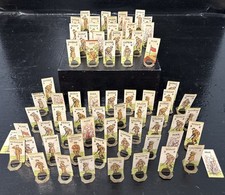 Rare Antique 1908 Military