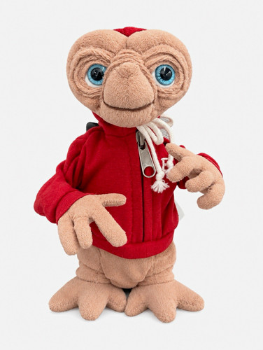 20th anniversary teddy - anniversary,
