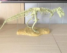 DIY T-Rex Dinosaur Fossil Toy – Large Assembled Skeleton Model for Kids