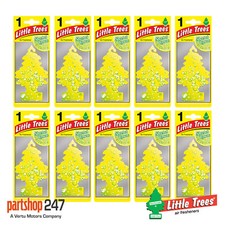 Magic Tree Little Trees Air