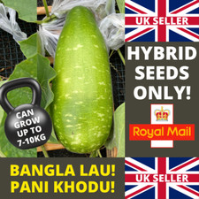 BRAND NEW - BANGLA LAU - PANI KHODU - 5 SEEDS BOTTLE GOURD - UK SELLER - ORGANIC