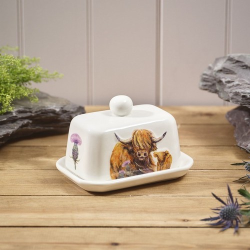 Highland cow with thistle - highland,
