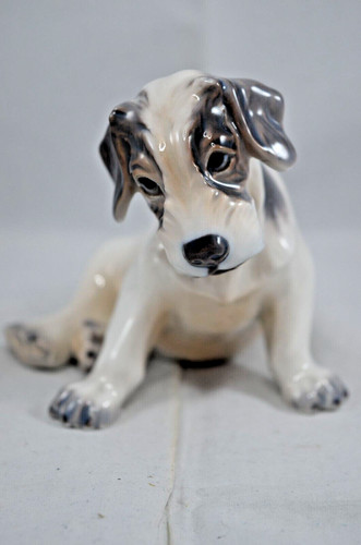 Dahl jensen copenhagen dog - dahl,