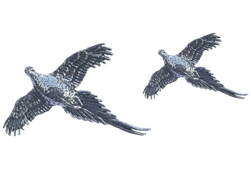 High flying pheasant - ,