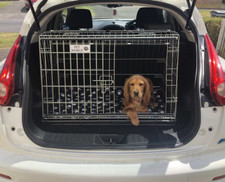 Dog Car Cage for Nissan Juke |