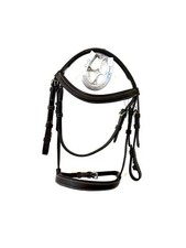 Shetland Pony Brown Cavesson