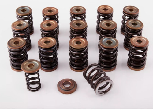 C20let c20xe dual - dual, valve