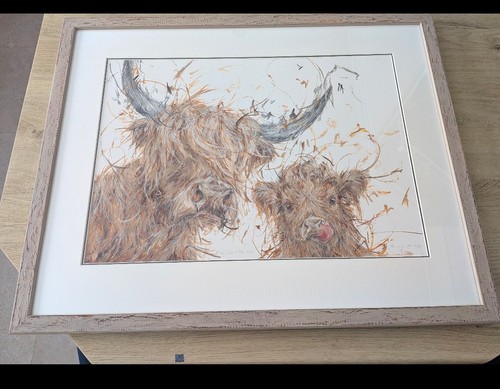 Aaminah snowdon big coo little - snowdon,