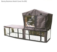 BUNNY BUSINESS RABBIT/GUINEA