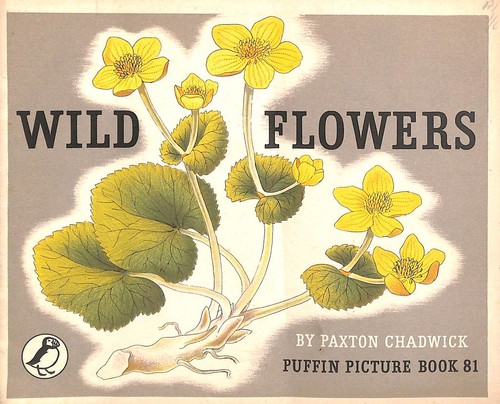 Wild flowers puffin picture - wild, flowers.