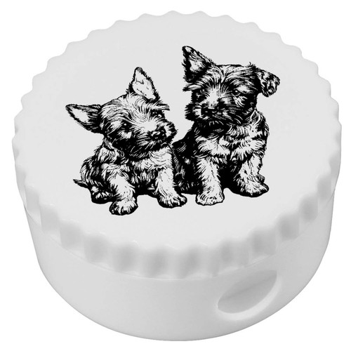 Scottish terrier puppies - 'scottish, puppies'