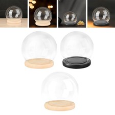 Display Dome with Base Clear