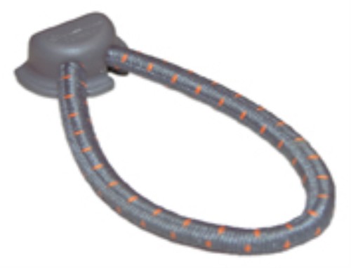 Isabella pack elastics - isabella, 10