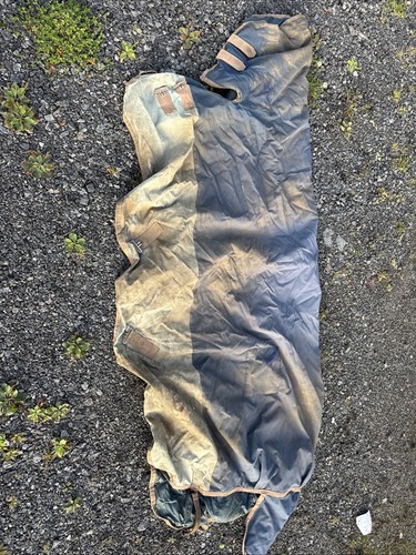 Medium weight turnout - 6'6,