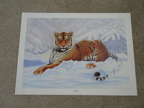 American wildlife artist - american,
