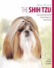 Shih Tzu Best of Breed: Your
