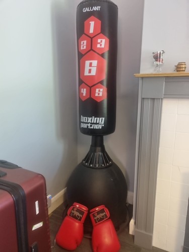 Boxing bag gloves brand new - bag, &