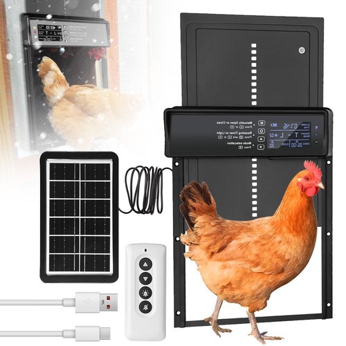 Automatic chicken coop - automatic,
